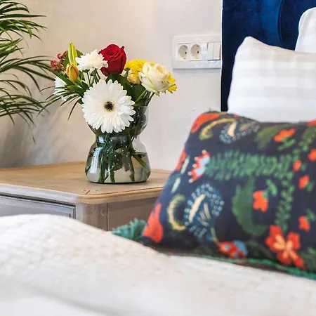 Appart hôtel Nikolas Haus Premium Historic Center & Free Parking Braşov
