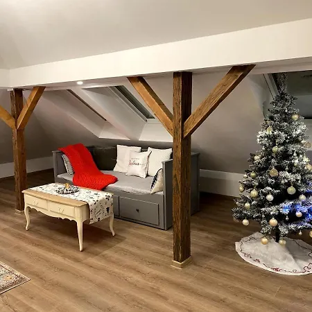 Апарт-готель Nikolas Haus Premium Historic Center & Free Parking Брашов