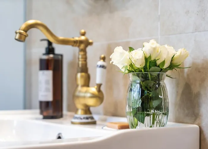 Apart-hotel Nikolas Haus Premium Historic Center & Free Parking Braşov